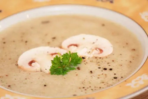 Sensationelle Champignoncremesuppe mit frischen Pilzen im Thermomix