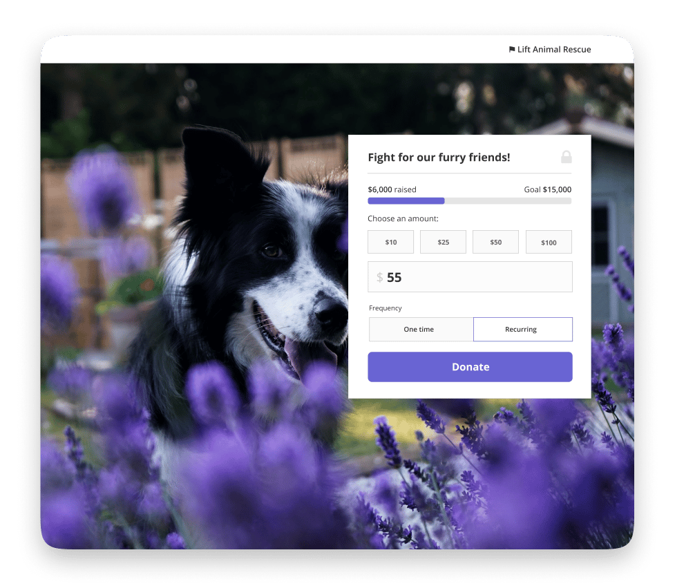 Online Fundraising Thermometer for Donation Goal Tracking