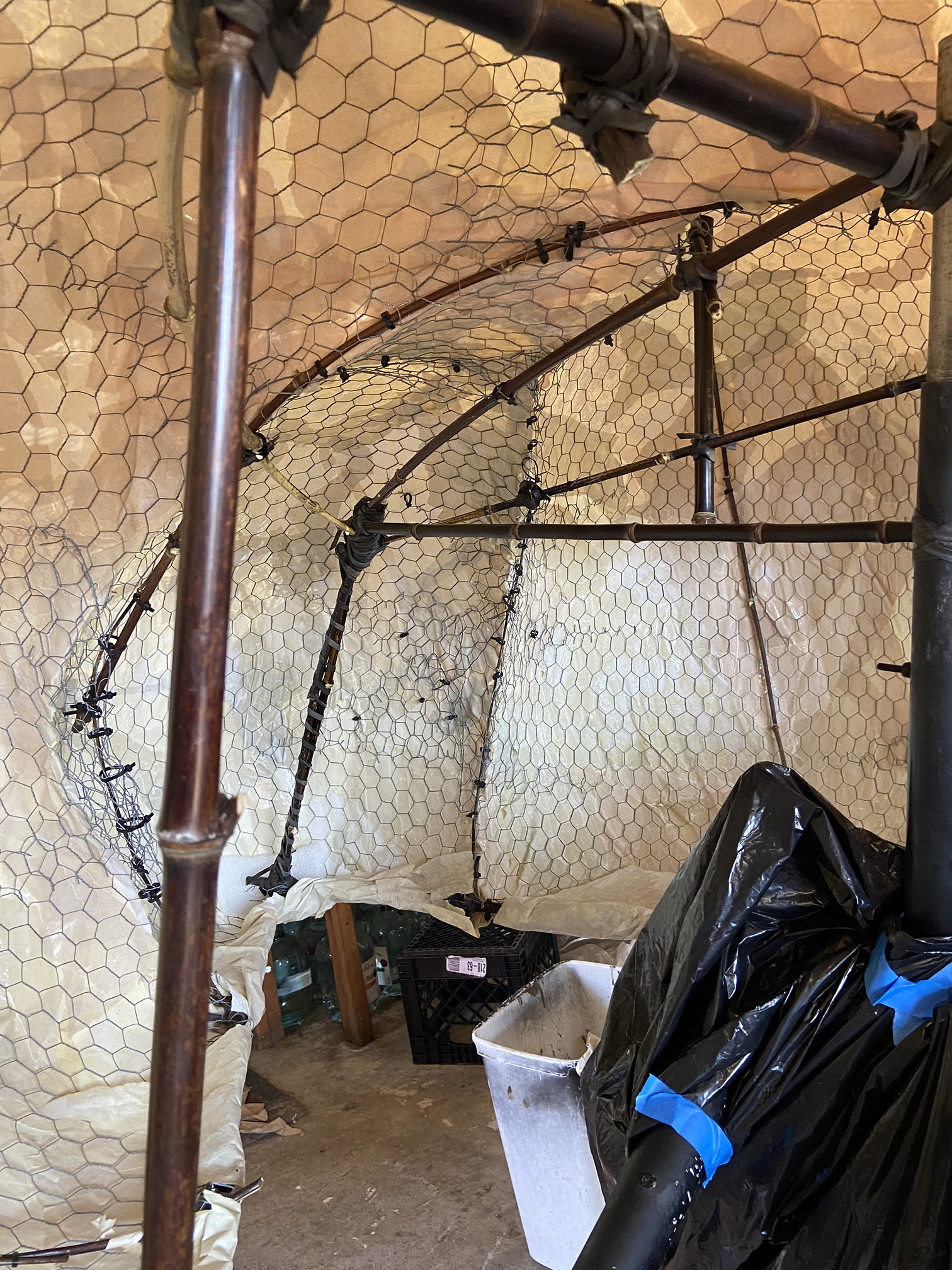 The Lab Why not? Arcata, California