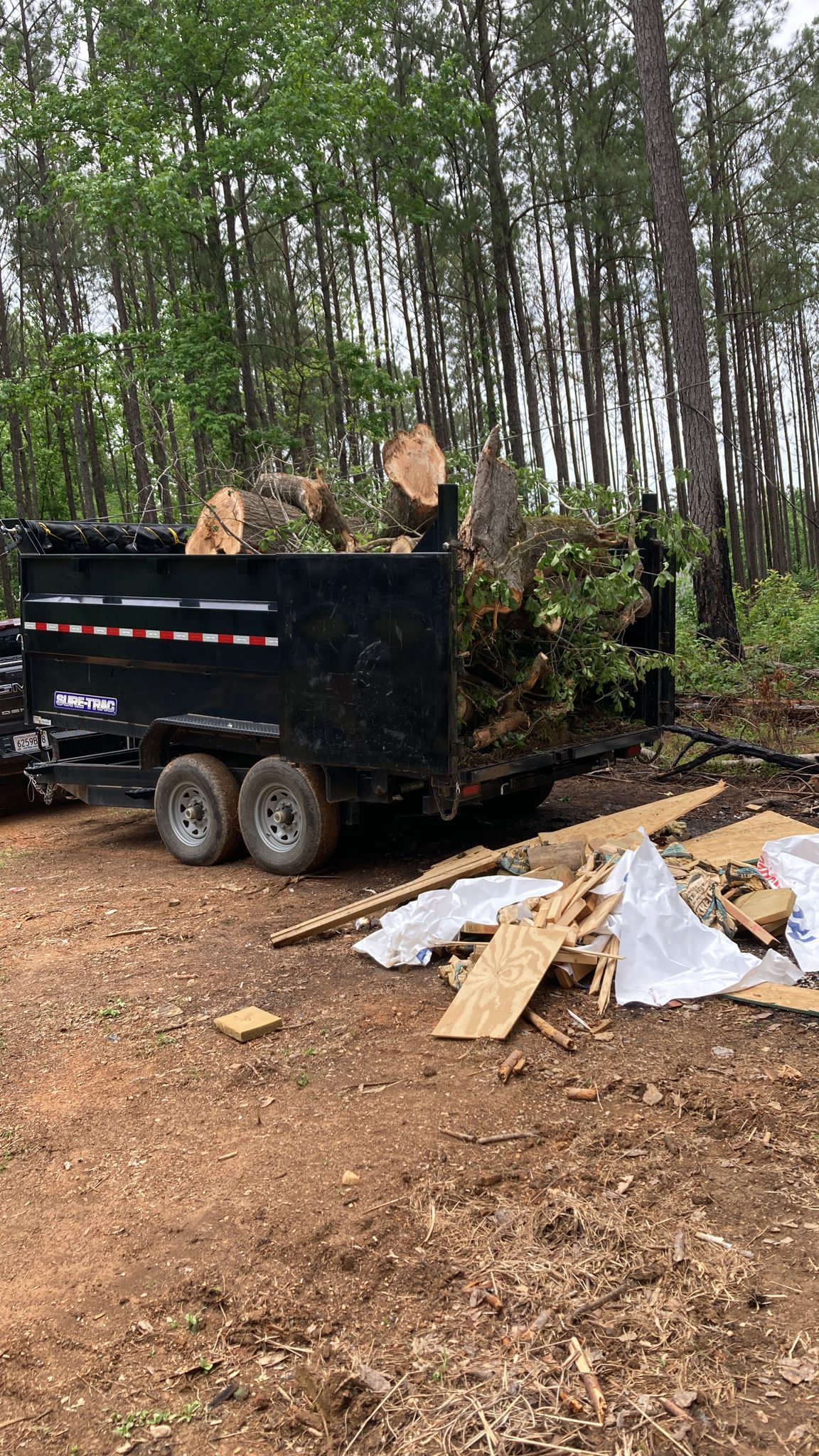 Home King Tree Services