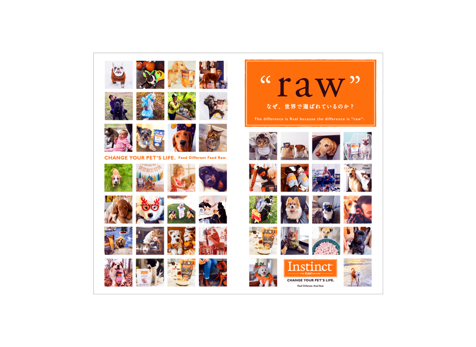 Instinct Pet Food Japan ” interpets asia pacific 2021 “ KINGCON DESIGN