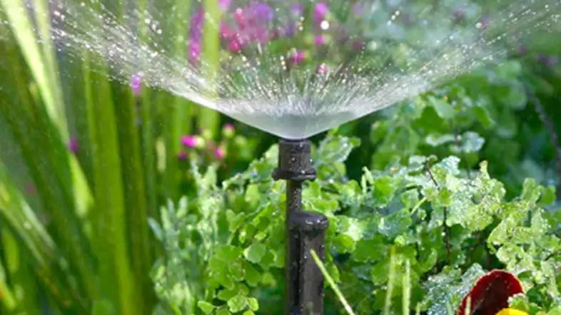 Garden Hose Gallon Per Minute: Understanding The Importance For