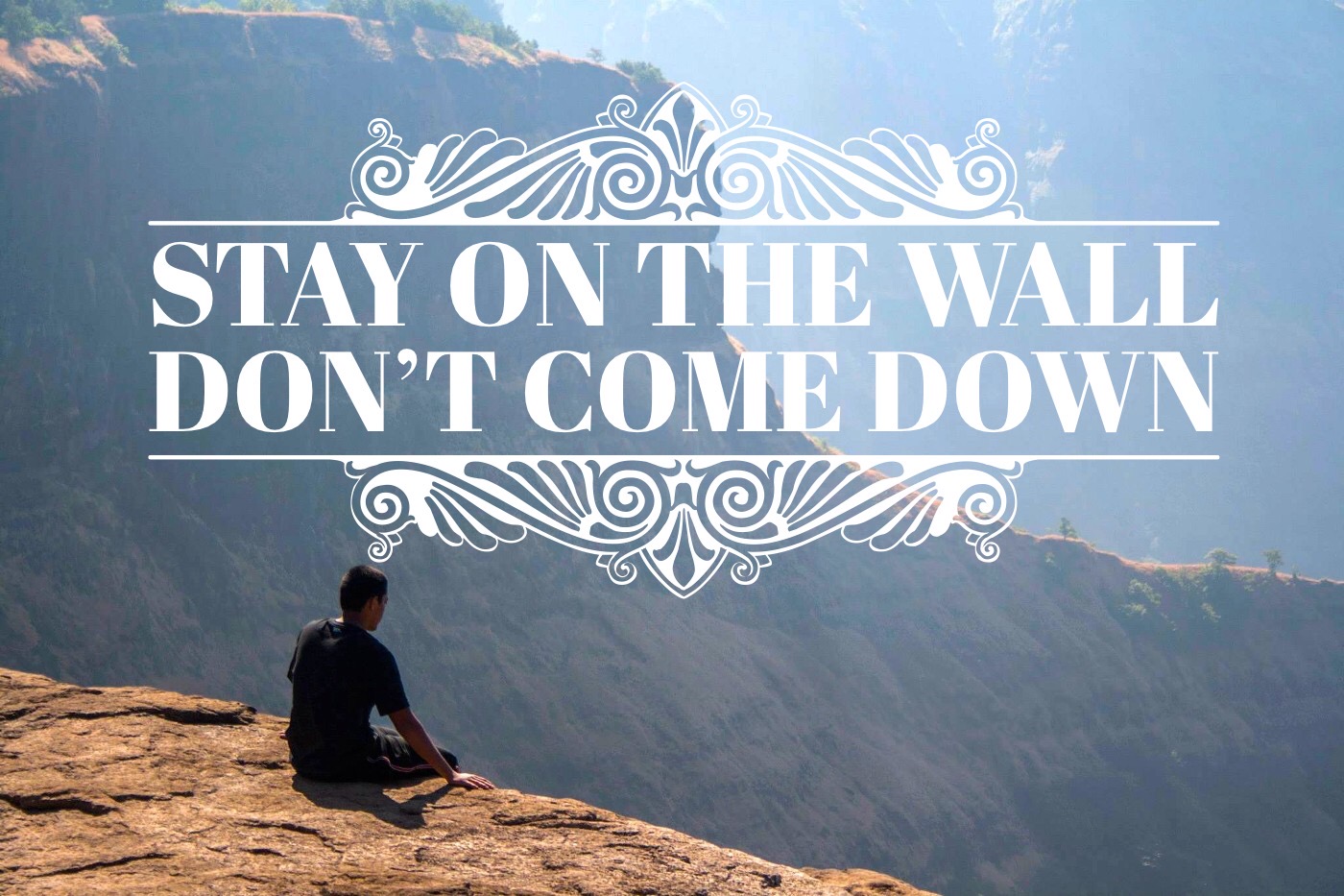 Media Kingdom Impact