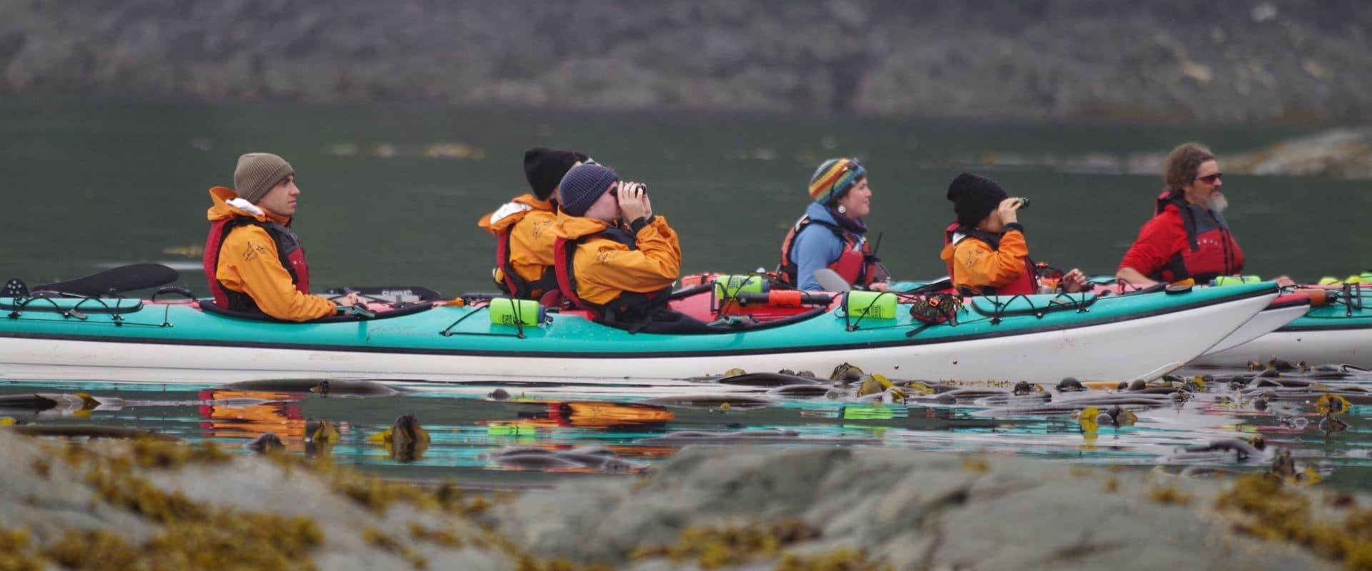 Contact Kingfisher Wilderness Adventures Kayak Tours