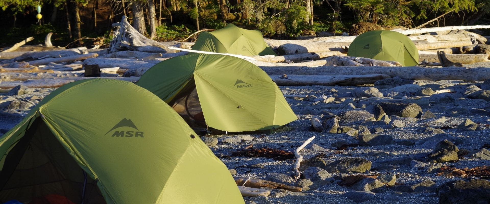 Southern Gwaii Haanas Explorer Kayak Tour Kingfisher Wilderness