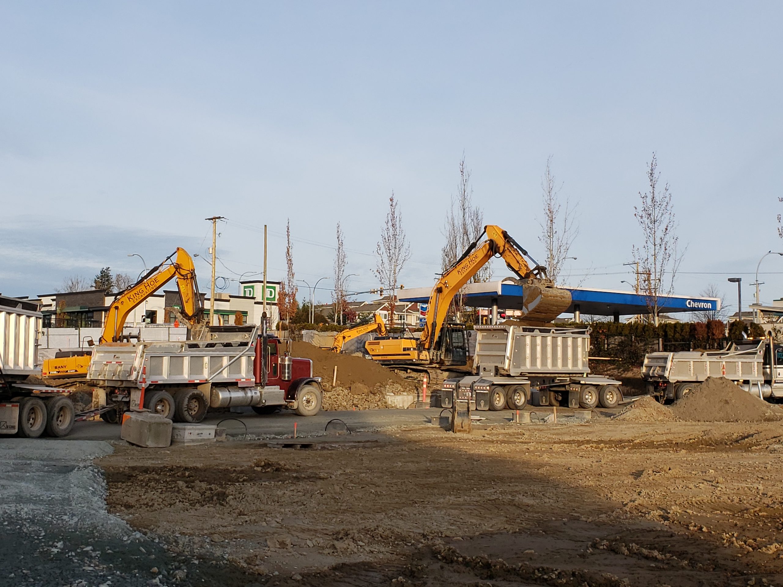 Site Preparation & Bulk Excavation / Shoring King Hoe