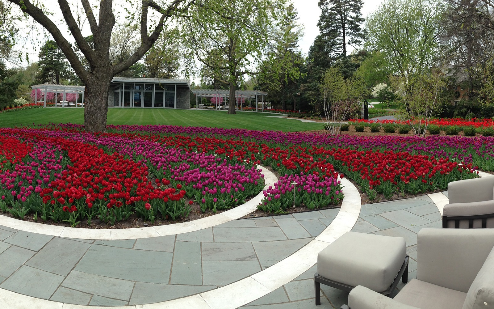Spring Color Kinghorn Gardens