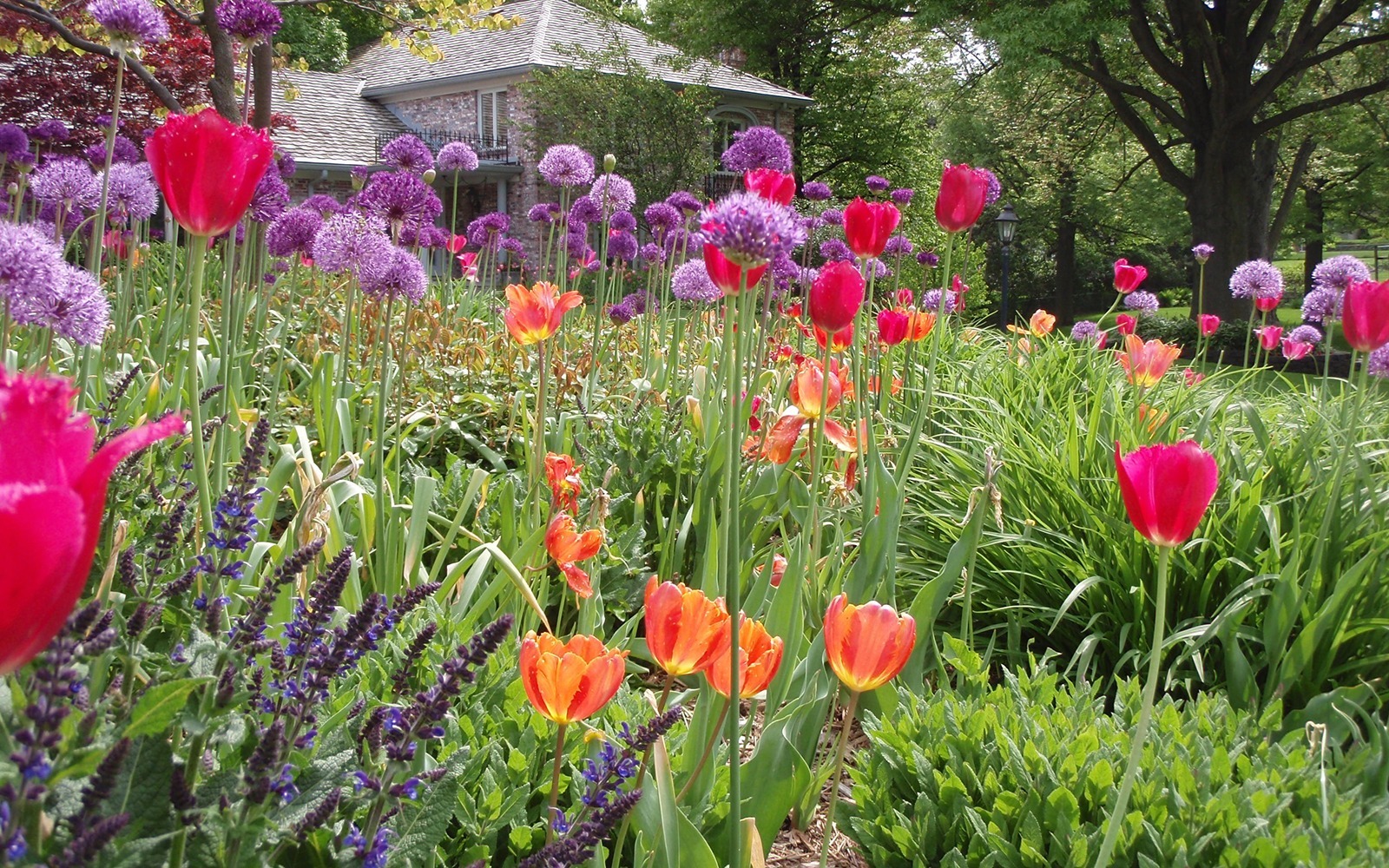 Kinghorn Gardens » Spring