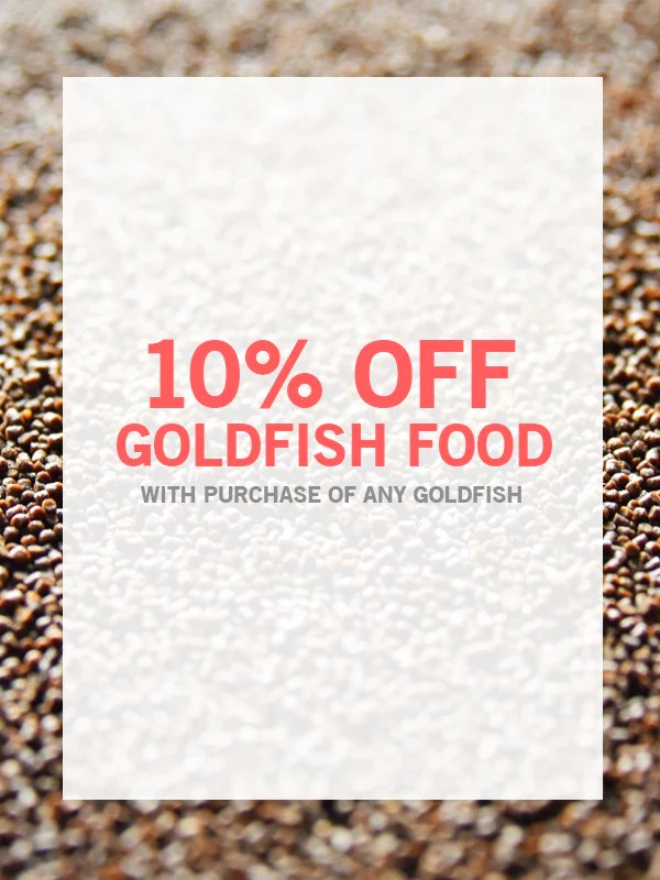 Clearance King Koi and Goldfish