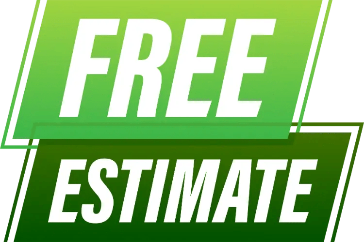 Cost To Clear Land Comprehensive Guide King Land Clearing