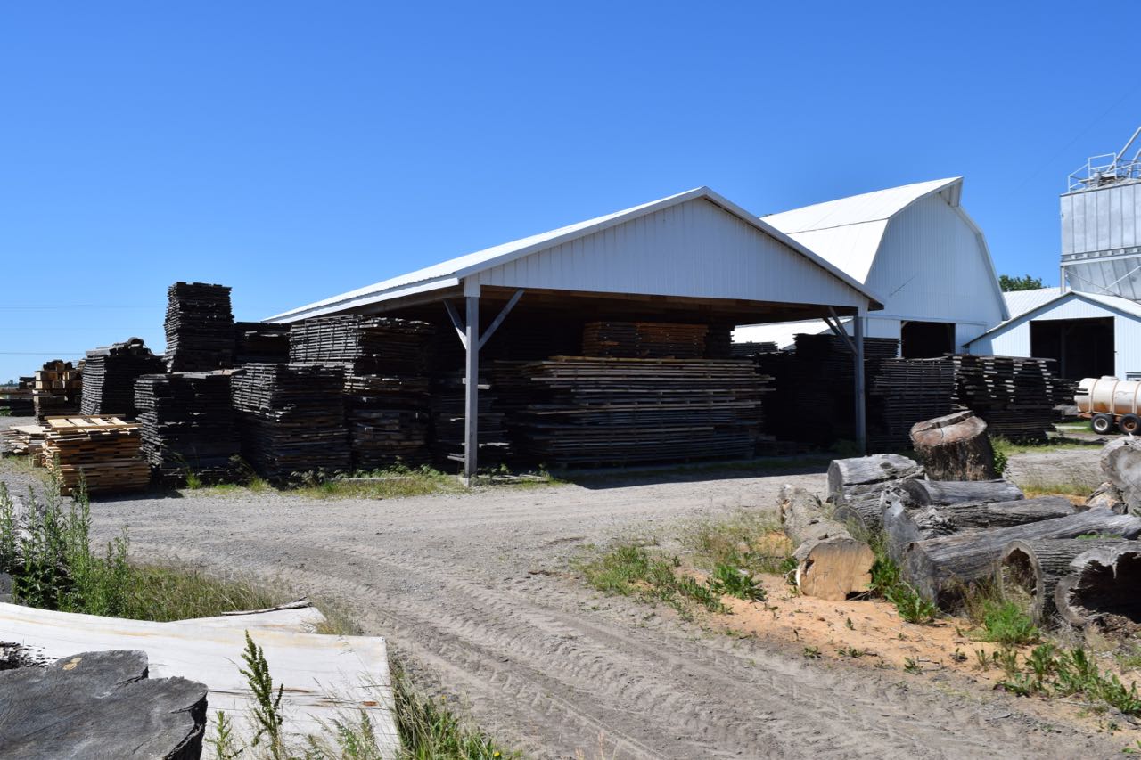 DSC_8083 King Lumber