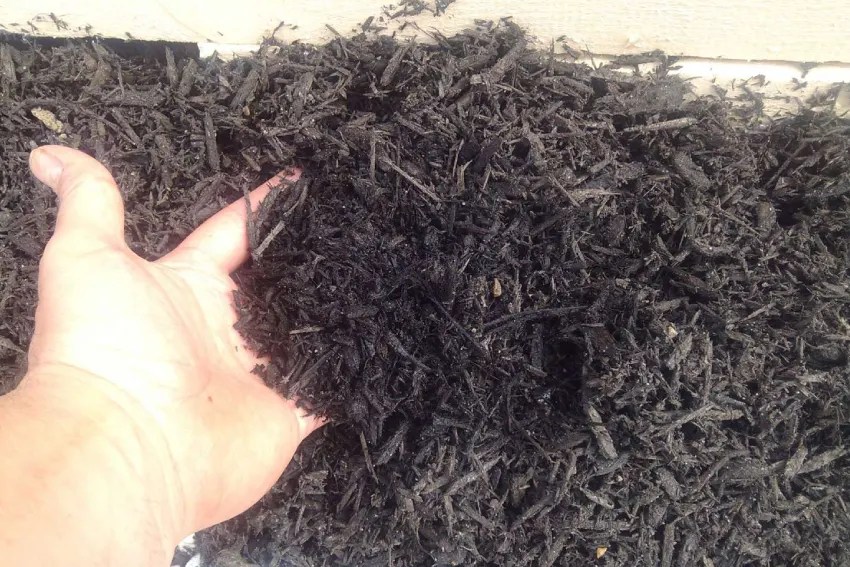 Color Enhanced Mulch HighQuality Dyed Mulch King Mulch