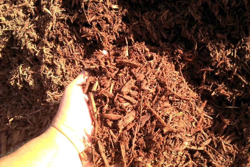 Color Enhanced Mulch HighQuality Dyed Mulch King Mulch