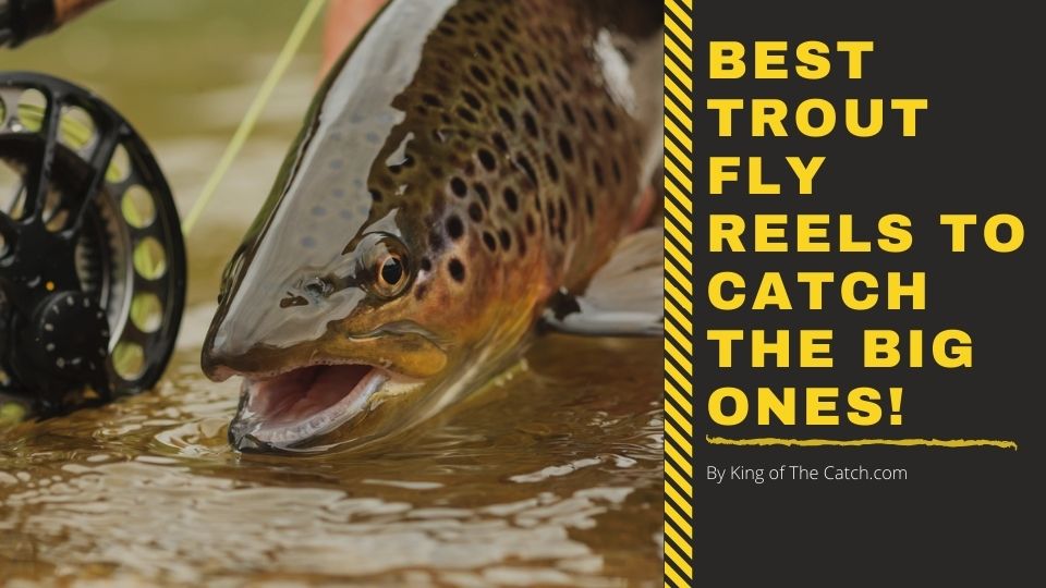 Best Trout Fly Reels to Catch The Big Ones! (30 hours of testing!)