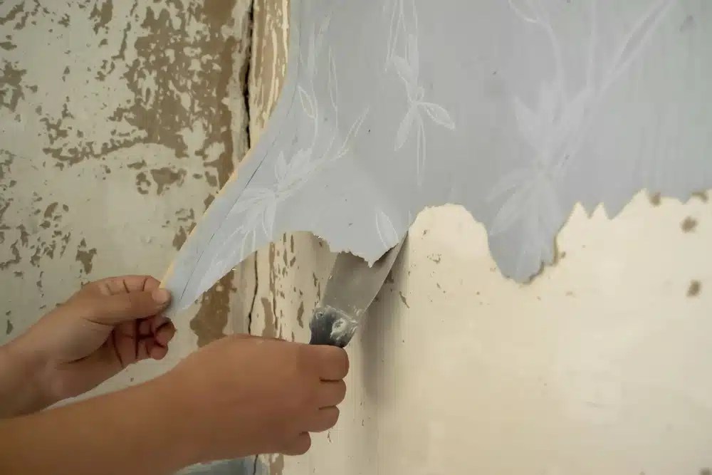 Wallpaper Removal King Paint Company