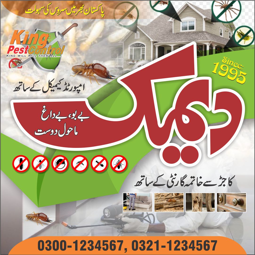 Termite Treatment in Lahore Pest control services in Lahore King Pest