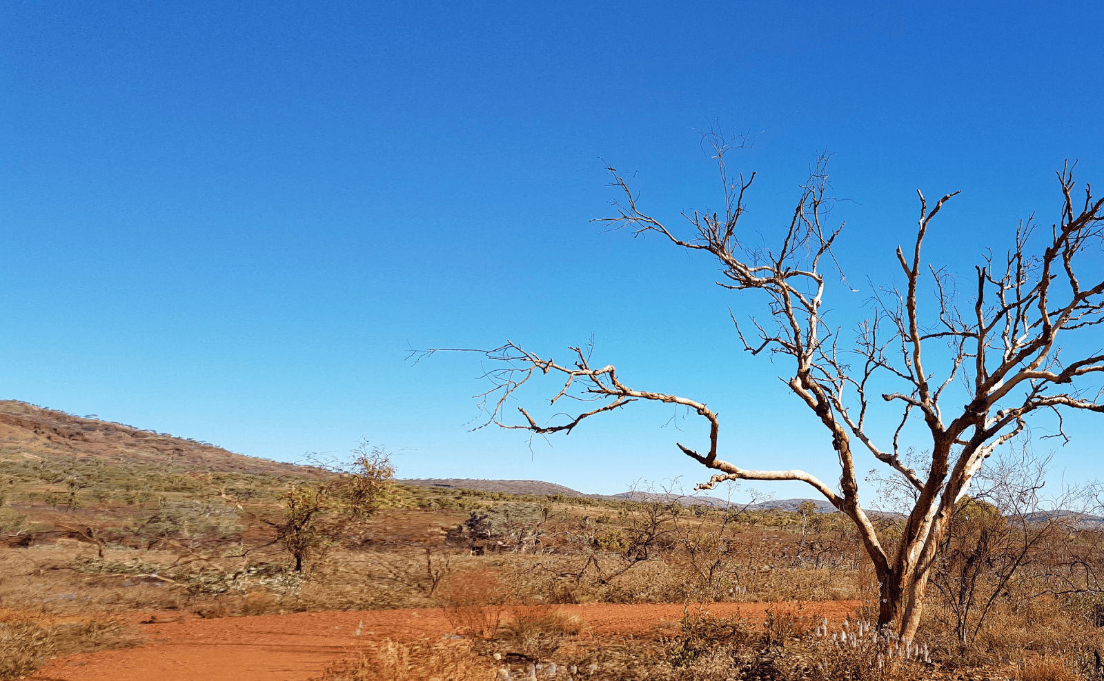 King River Resources