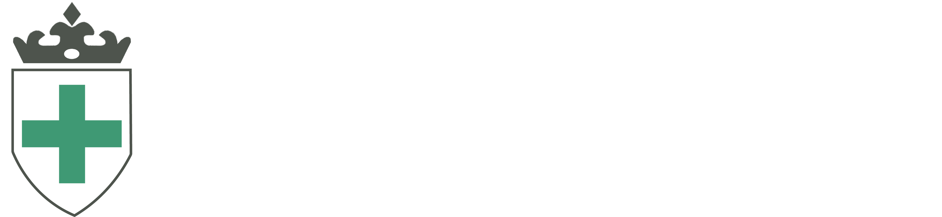 Careers Kings Security