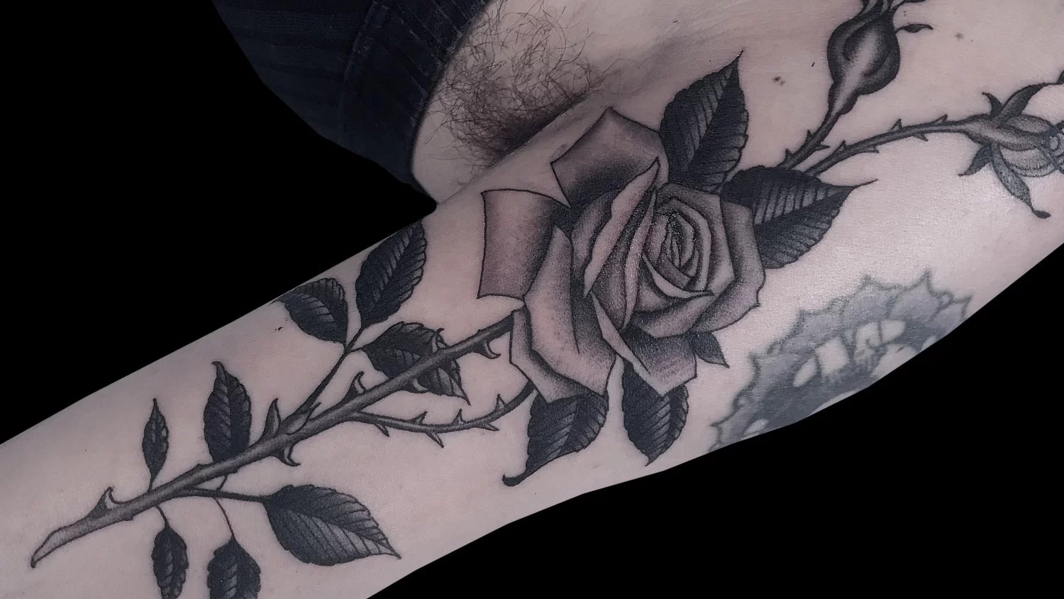 Rose Tattoo Ideas Kings Avenue Tattoo