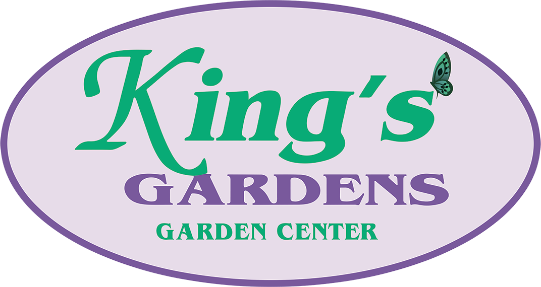 Home Kings Garden