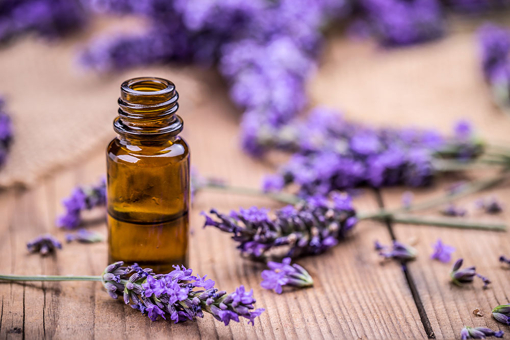 How Aromatherapy Benefits Seniors in Senior Living Communities