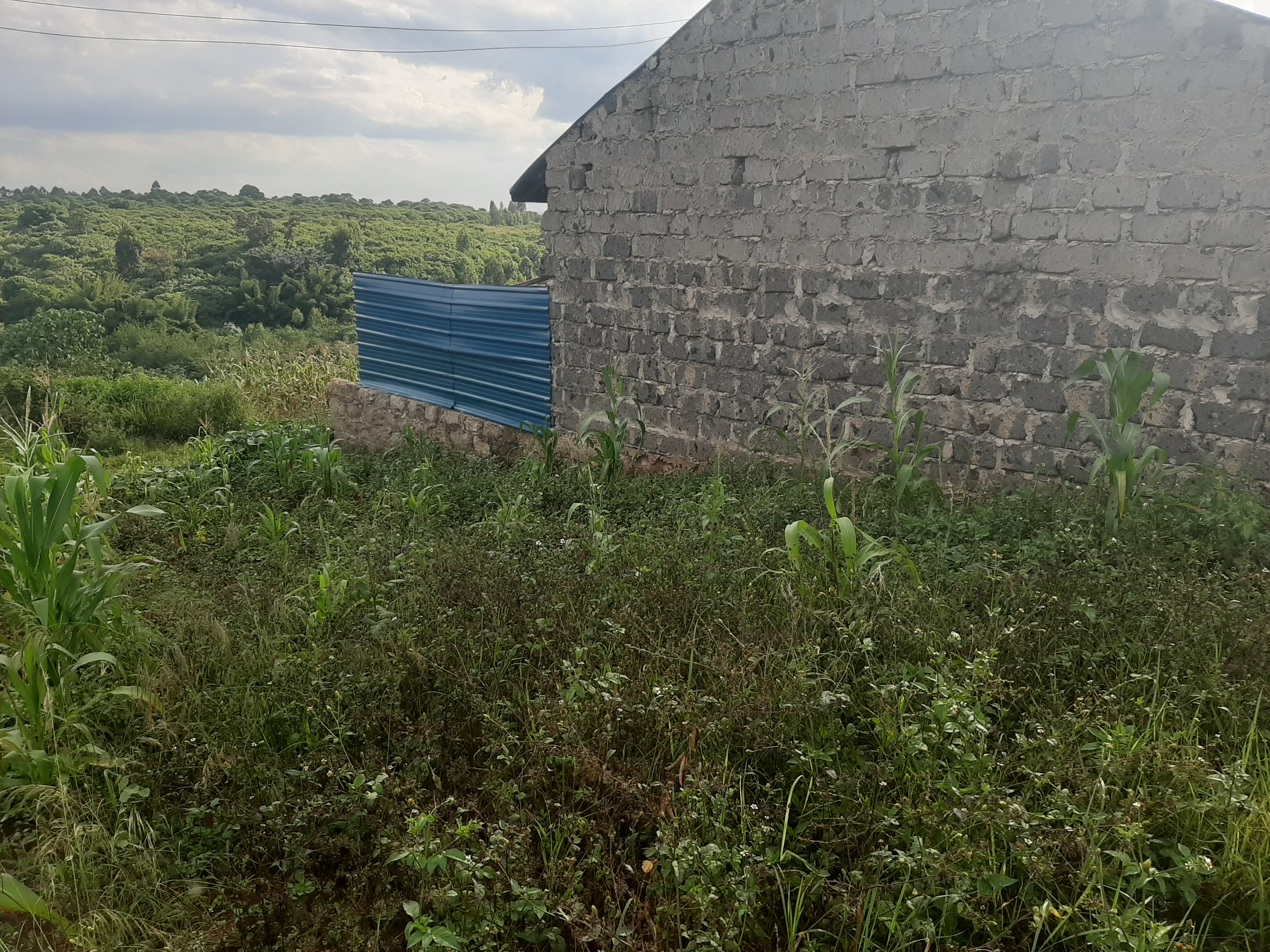 Plot for Sale in Murema Estate (Croton) Kenyatta Road Kingslink