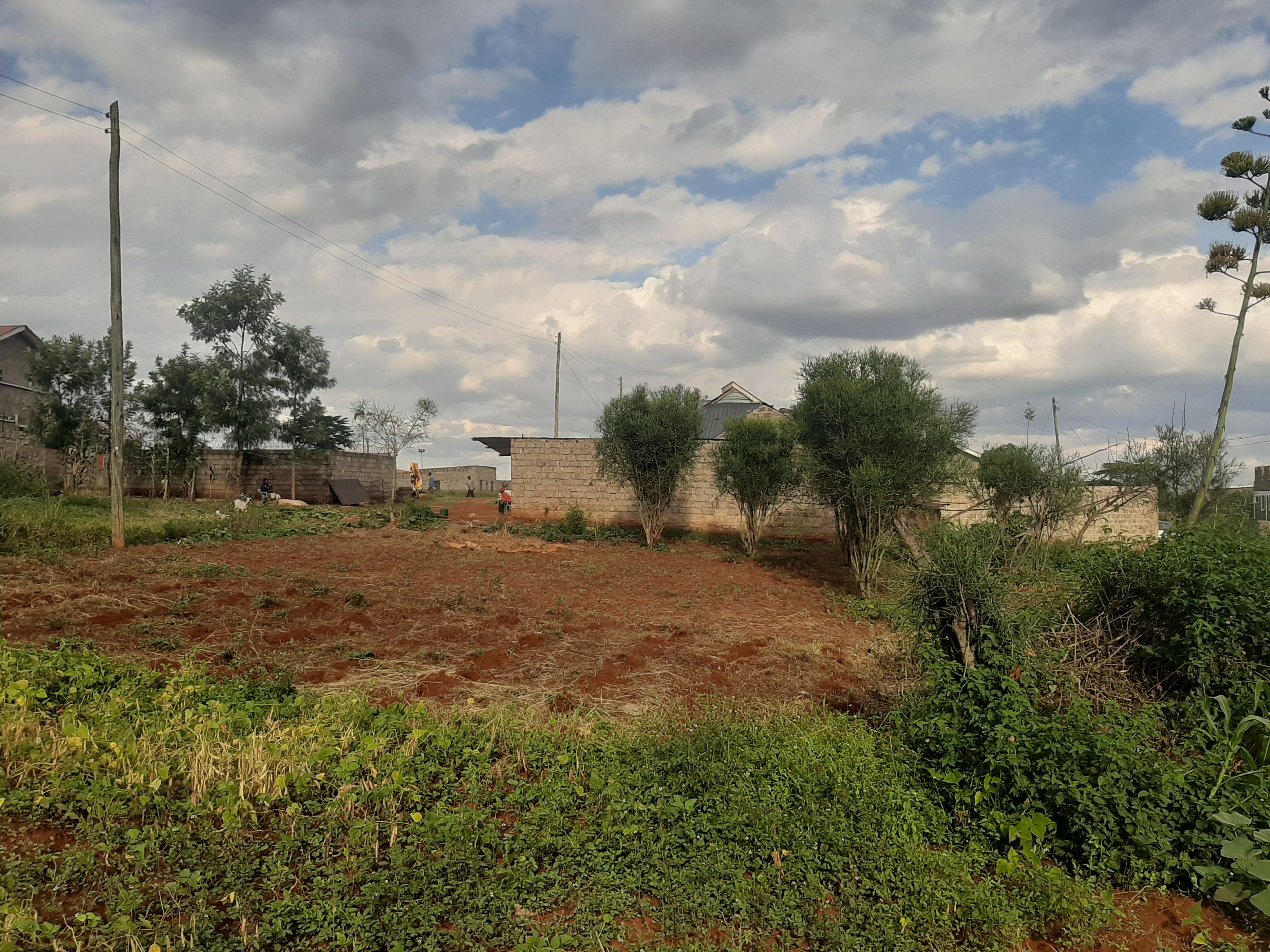 Plot for Sale in Murema Estate (Croton) Kenyatta Road Kingslink