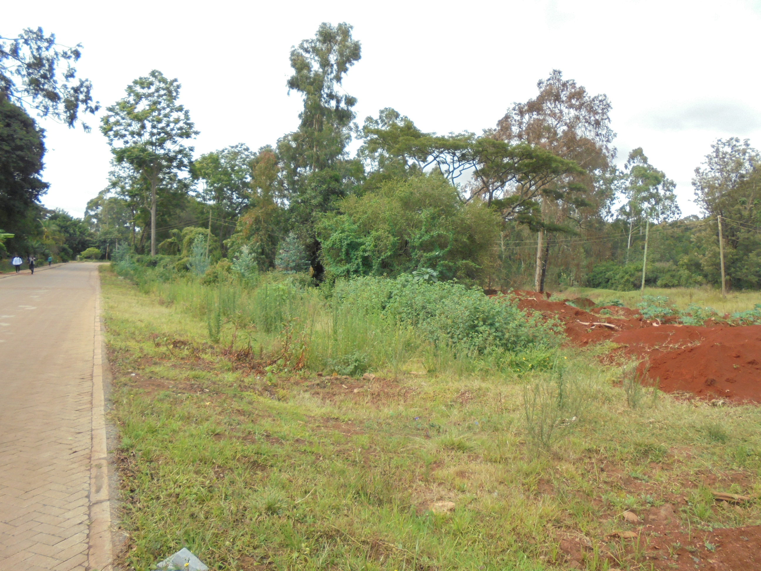 . 5 Acre Plots for Sale At A. i. u. University, Karen, Nairobi Kings