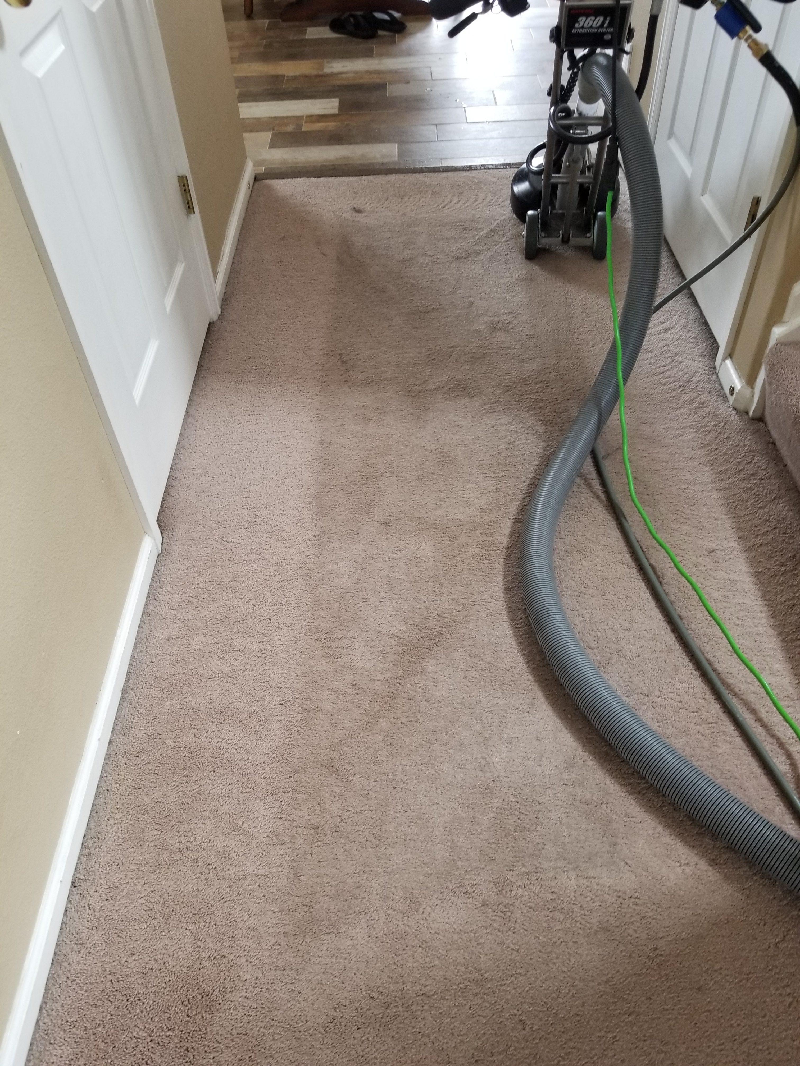 Carpet Repair And Restretching Castle Rock CO Kings Of Steam