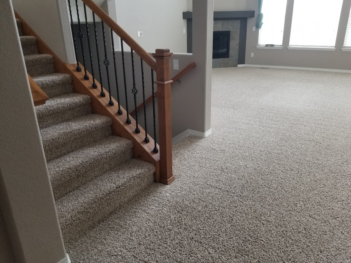 Carpet Cleaning Services Castle Rock CO Kings Of Steam