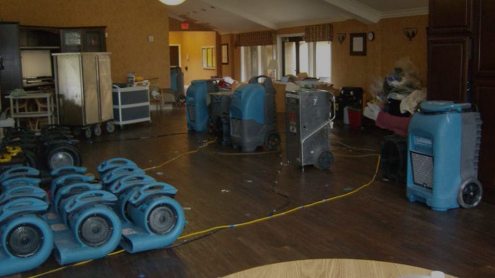 Carpet Cleaning Castle Rock CO Kings Of Steam 7206638770