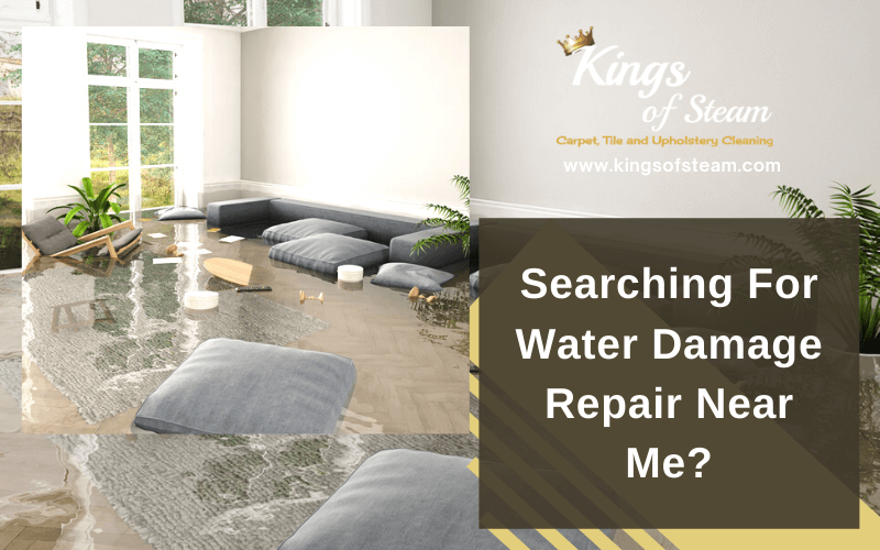 Searching For Water Damage Repair Near Me Castle Rock CO
