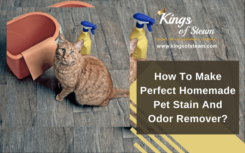 Natural Remedy For Pet Stain And Odor Removal Castle Rock
