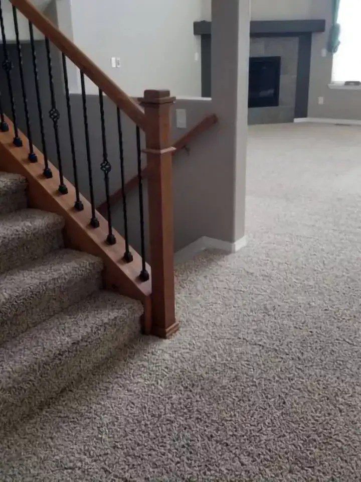 Carpet Cleaning Castle Rock CO Kings Of Steam 7206638770