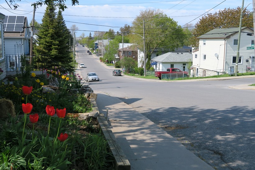 Skeleton Park Neighbourhood Kingston Cam