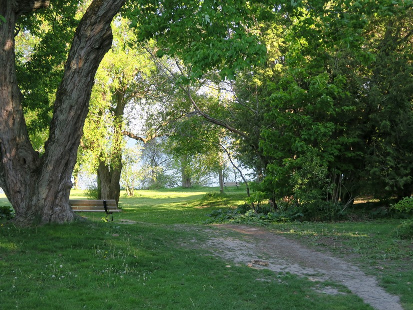 Along the Lakeshore Kingston Cam