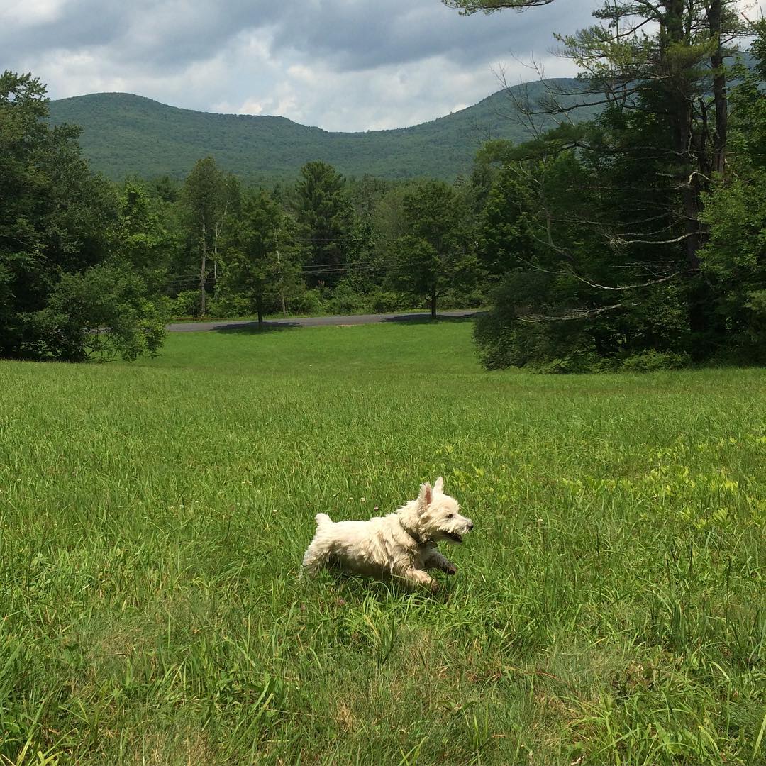 Woodstock's MostInstagrammed Places Kingston Creative