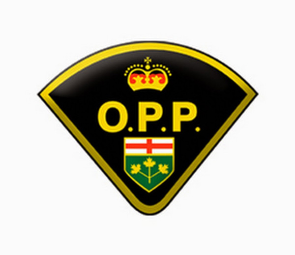 Police Receive Reports of Men Attempting to Lure Children into Vehicle