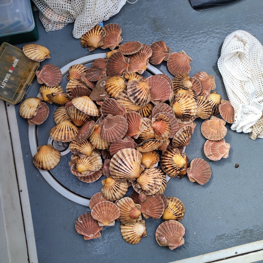 Bank holiday weekend in Portland Kingston and Elmbridge Sub Aqua Club