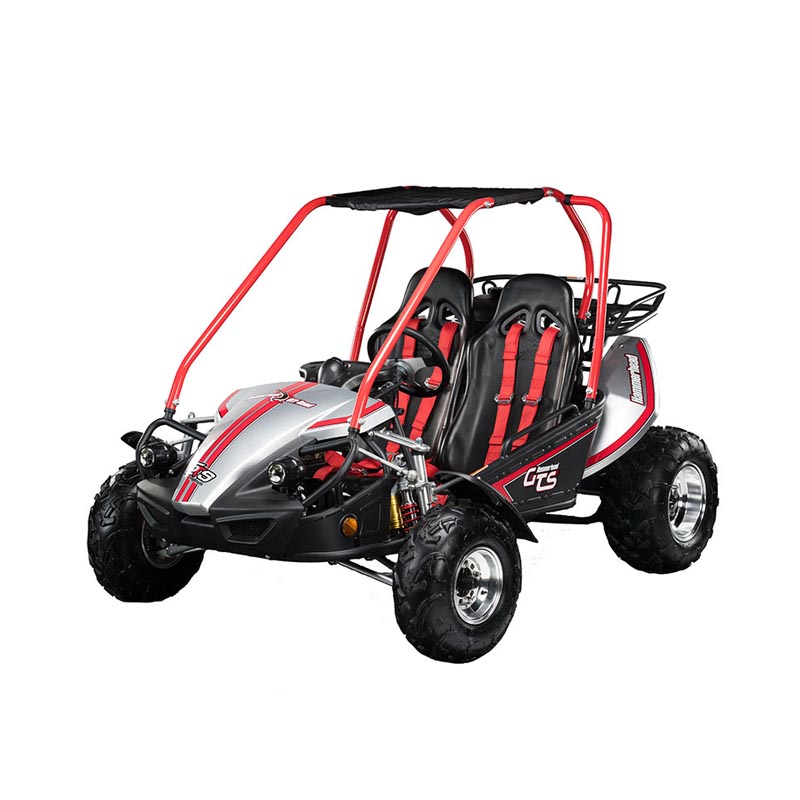 Dave Kingston's KartsAmerican Landmaster UTV, Customized & Basic Golf CartsStreet Legal Carts