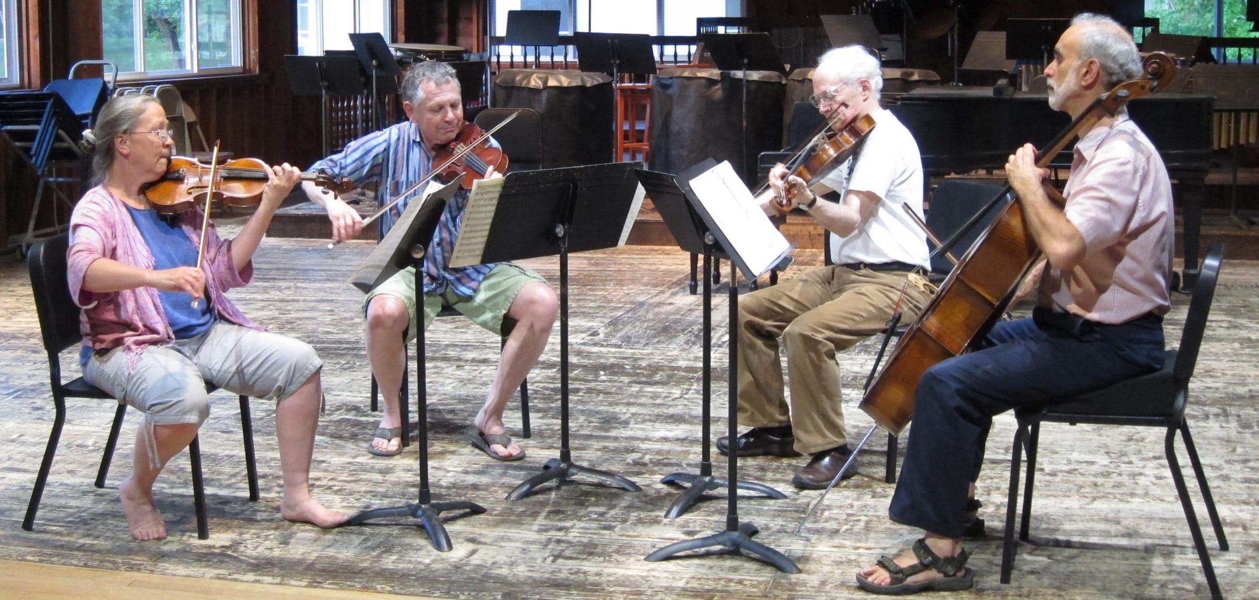 Adult Chamber Music Kinhaven Music School
