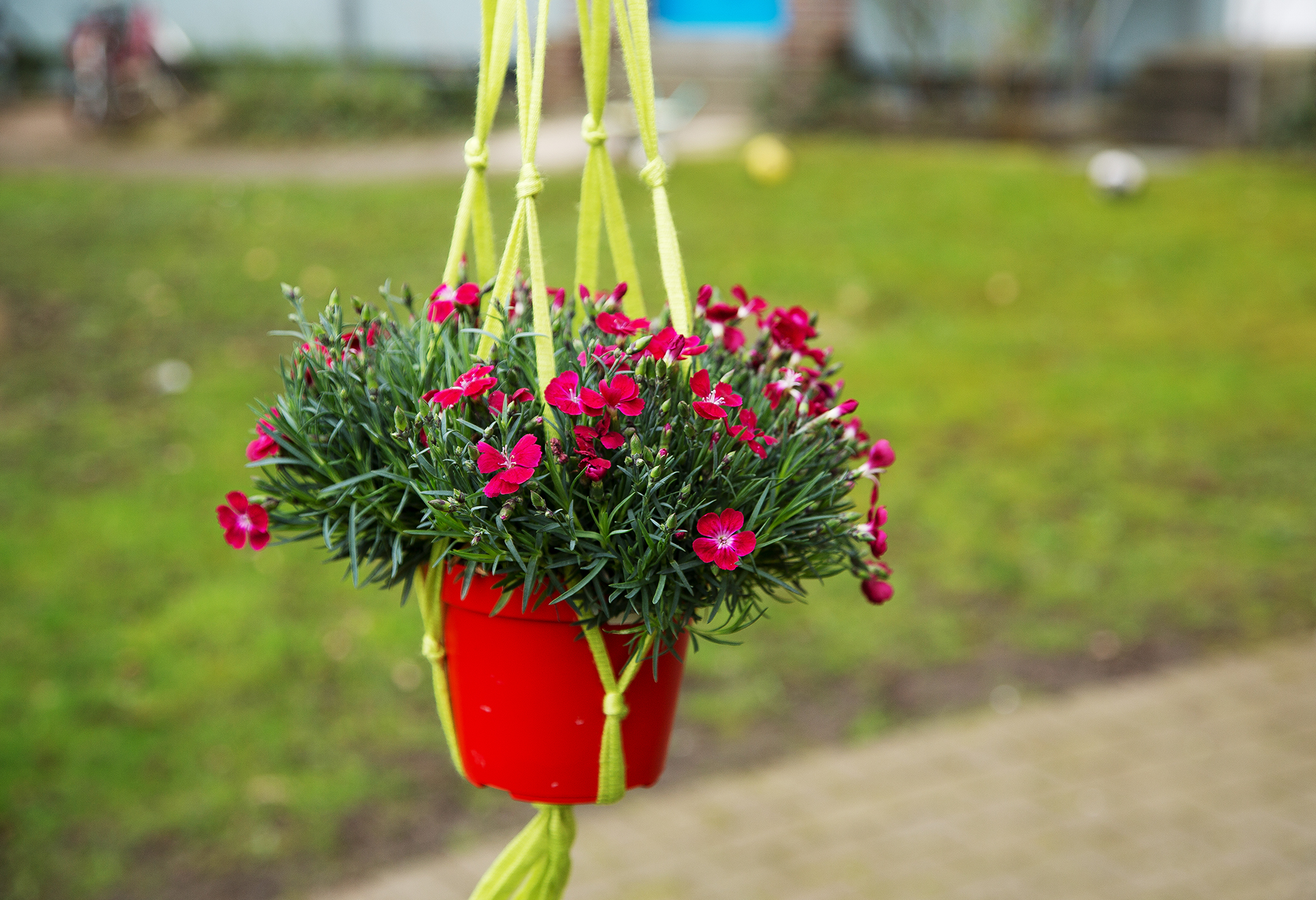 Kostenlose Anleitung Blumenampel aus Makramee selber machen Kinitti
