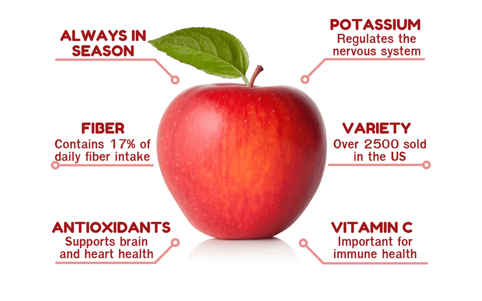 Apple Story Kinnauri Apples