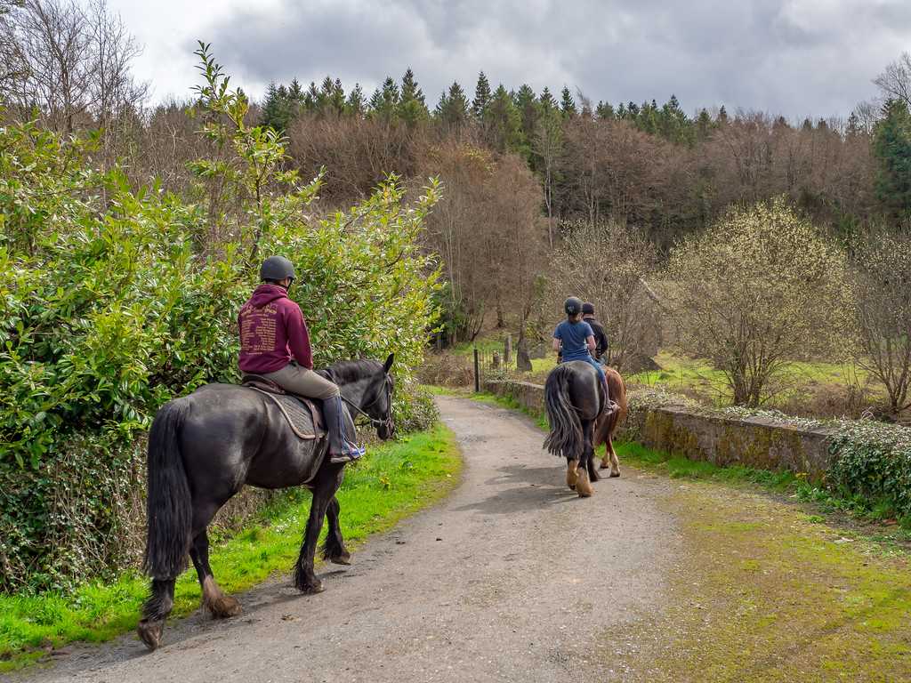 Horse Riding in the Slieve Bloom Mountains Ireland