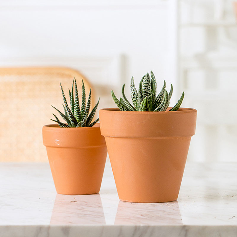 Outdoor Clay Ceramic Terracotta Plant Flower pots Gifts & Crafts for