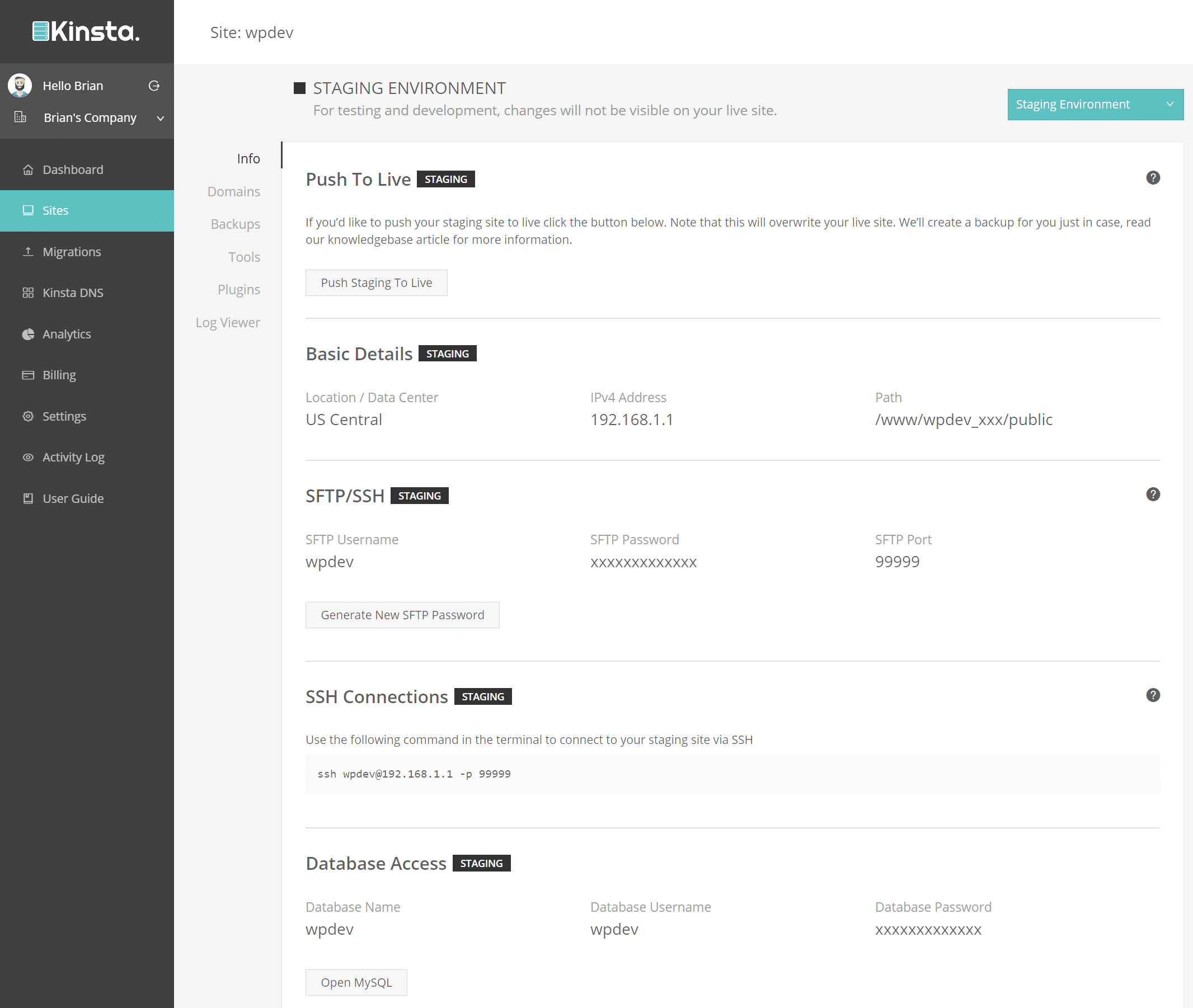 How Do I Use the OneClick Staging Environment? Kinsta