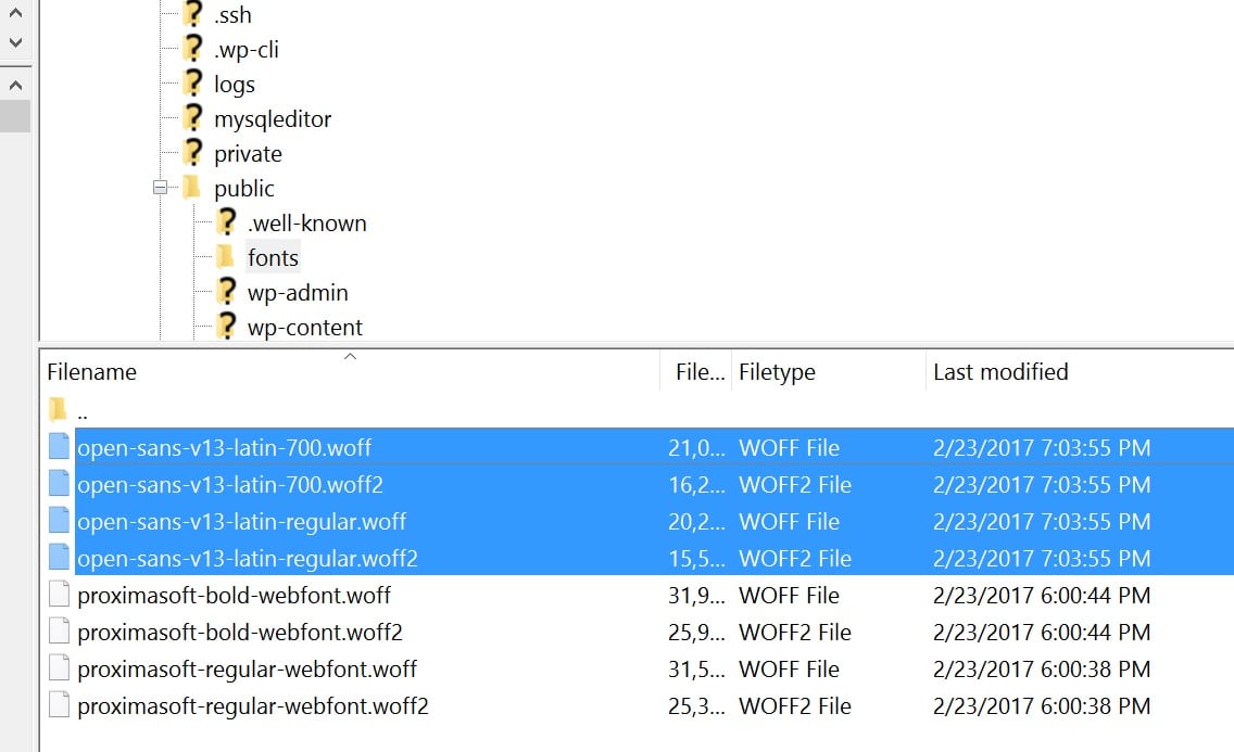 InDepth Guide on Hosting Local Fonts in WordPress