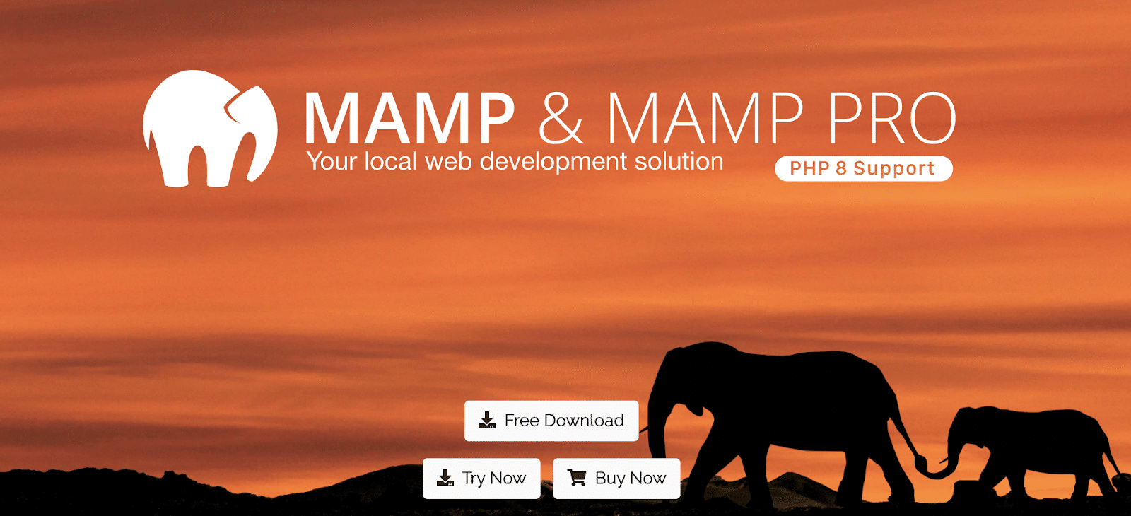 What to Do If MAMP Is Not Starting (5 Best Solutions)