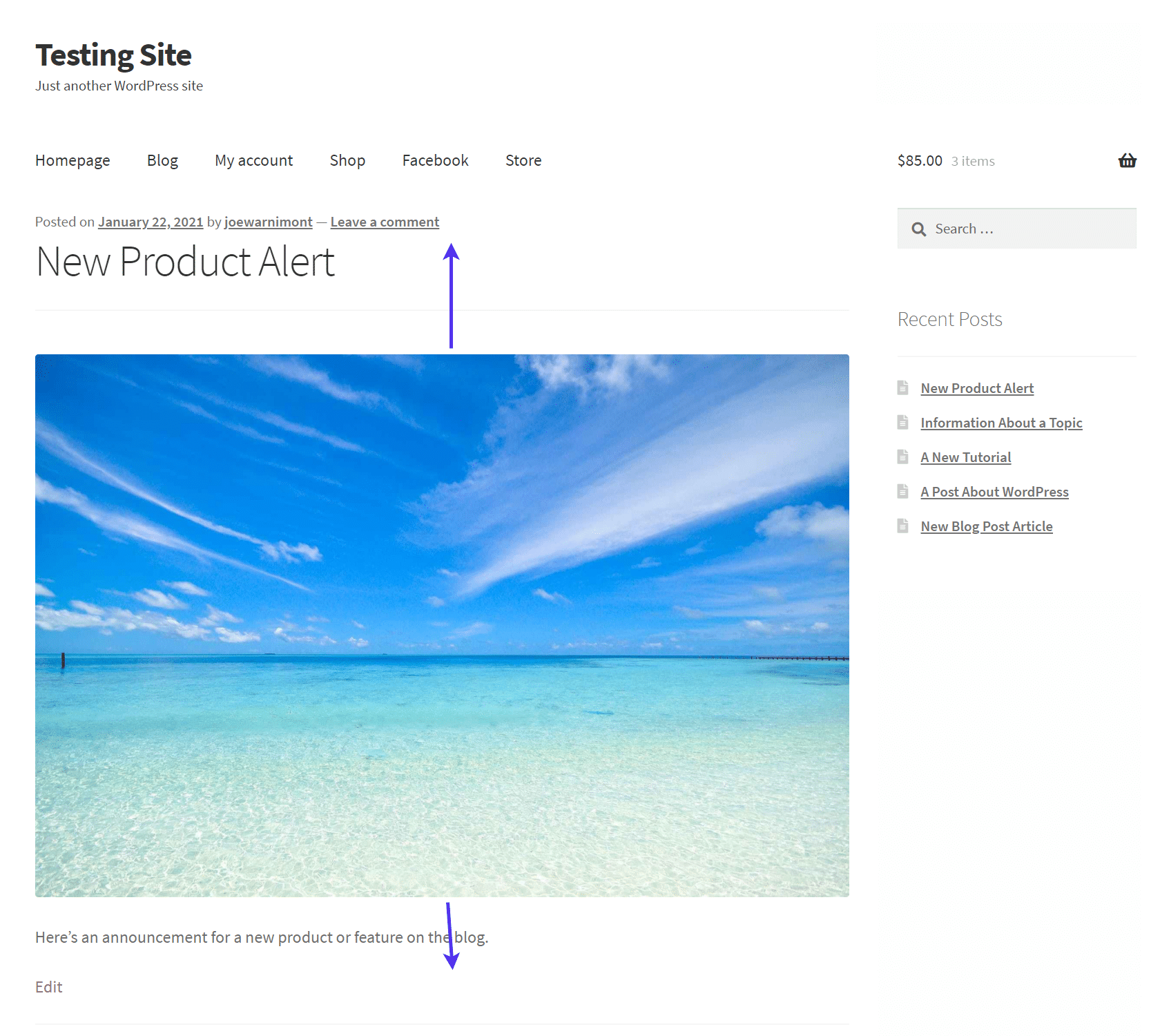 Fix WordPress Featured Image Not Showing Properly (Or Not At All)