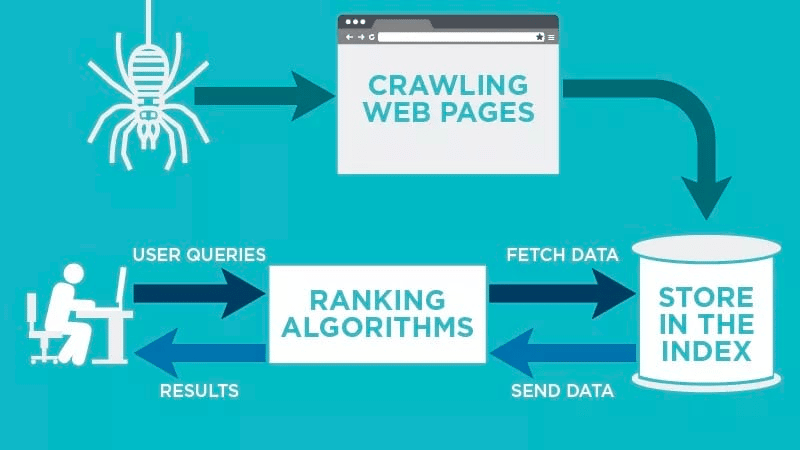 Crawler List 14 Most Common Web Crawlers In 2026